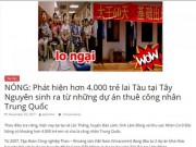 Tin tức trong ngày - Thực hư chuyện &quot;4.000 con lai Trung Quốc ở Tây Nguyên&quot;