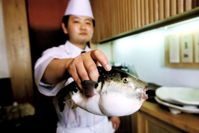 Cá Fugu: Là món ăn nguy hiểm nhất trên thế giới. Đầu bếp ở Nhật Bản phải trải qua nhiều năm huấn luyện để tìm hiểu làm thế nào để loại bỏ các bộ phận độc hại của nó, có độc tố gấp 1,200 lần so với xianua. Ăn phải một lượng nhỏ xíu cũng có thể gây tử vong.