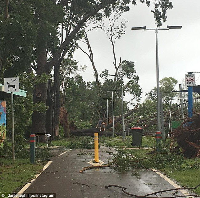 Xem siêu bão nhổ, cuốn bay cây cổ thụ ở Australia - 2