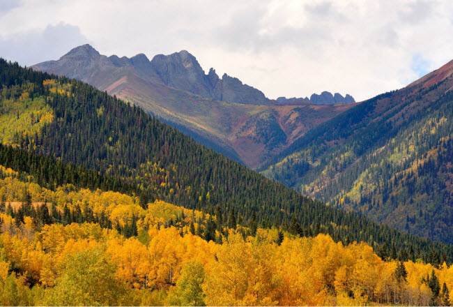 Đường San Juan Skyway, Colorado, Mỹ: Con đường dài 373km chạy qua các đỉnh của dãy núi San Juan ở bang Colorado. Dọc tuyến đường, du khách có thể bắt gặp những cánh đồng hoa dại, rừng nguyên sinh,…