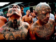 Thế giới - Mafia Mexico - những kẻ máu lạnh nhất thế giới