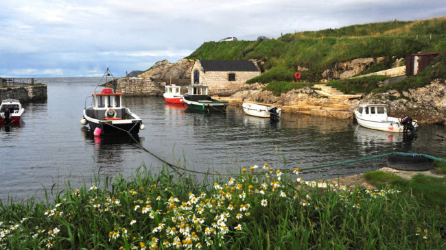 Làng chài Ballintoy, Antrim: Làng chài nằm ở biển đông bắc Ireland được lấy làm bối cảnh cho quần đảo Iron trong bộ phim Trò chơi vương quyền.