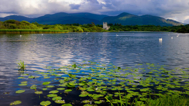 Lâu đài Ross, Killarney: Lâu đài được được xây dựng từ thế kỷ thứ 15 bên bờ hồ Lough Leane, lớn nhất trong 3 hồ ở Killarney.