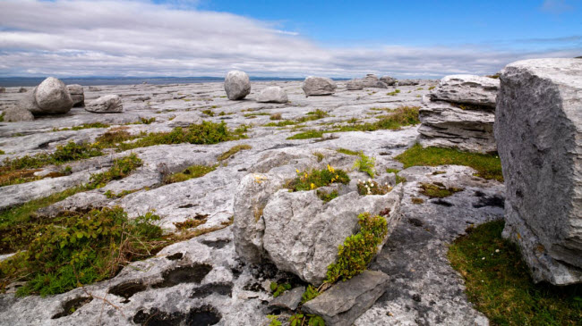 The Burren, Clare: Khu vực rộng 250 km2 ở tây nam Ireland có cấu tạo địa chất chủ yếu là đá vôi, vách núi, hang động và hóa thạch cổ.