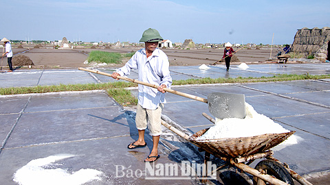 Những địa điểm nhất định phải thưởng ngoạn khi đến Nam Định - 4