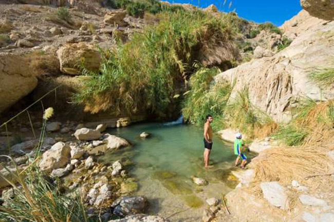 Ốc đảo Ein Gedi, Israel: Nằm ở phía tây của Biển Chết, gần Masada và Qumran, ốc đảo Ein được tuyên bố là một khu bảo tồn thiên nhiên vào năm 1971 bởi nhà nước Israel. Ốc đảo có 4&nbsp;suối nước rất đẹp: Nahal David, Nahal Arugot, Shulamit, và Ein Gedi.