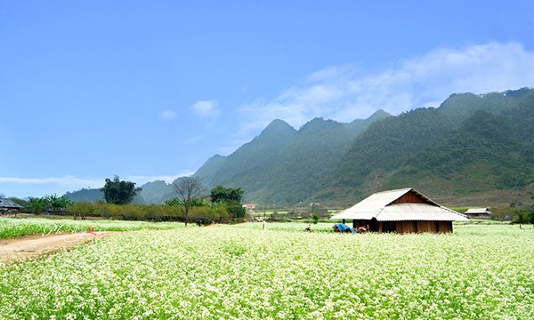 Những điểm du lịch đốn tim các thánh sống ảo, không thể bỏ qua khi đến Sơn La - 8