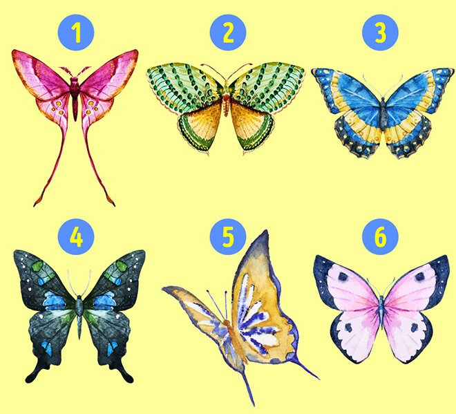 Chọn hình con bướm sẽ cho biết tính cách ẩn giấu trong bạn - 1