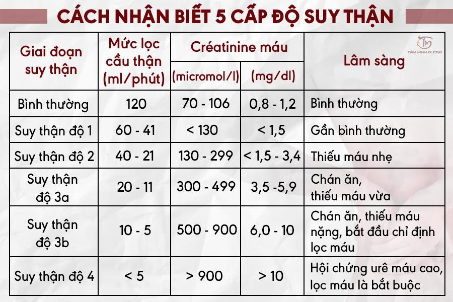 Bệnh suy thận: Nguyên nhân, cấp độ và giải pháp điều trị từ chuyên gia - 2