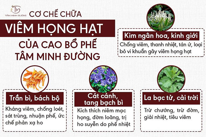 Nguyên nhân, triệu chứng, cách chữa viêm họng hạt hiệu quả vượt trội - 4