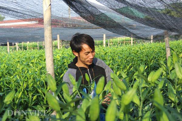 Đây là lí do người làng hoa Tây Tựu tiếp tục “đánh bạc với trời” - 8