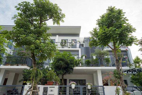 Mua Dahlia Homes – KĐT Gamuda Gardens trước Tết, nhận ưu đãi hấp dẫn - 1