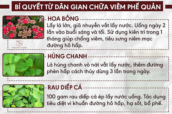 Viêm phế quản là gì? Nguyên nhân, triệu chứng và cách chữa bệnh hiệu quả tại nhà - 4