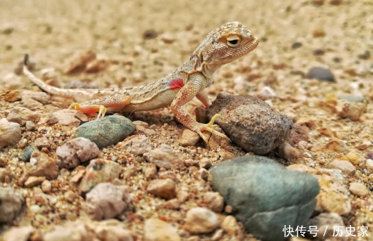 Trung Quốc: Hồ nước chứa đầy đá quý nhưng người dân lại chẳng hay biết gì - 3