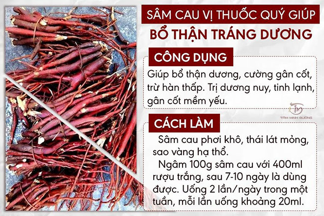 Các bài thuốc bổ thận tráng dương giúp quý ông uống vào thận khỏe “yêu sung” - 2