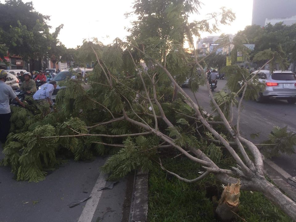 Xế hộp siêu sang tông hàng loạt ô tô và xe máy ở Sài Gòn - 4