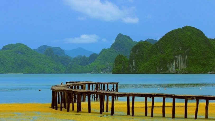Cận cảnh cầu gỗ vươn biển dài nhất Quảng Ninh khiến nhiều teen phát hờn - 1