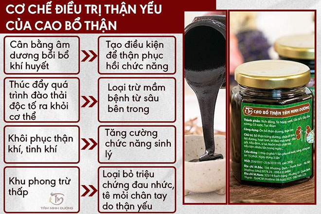 Thận yếu là gì? Nguyên nhân, triệu chứng và cách chữa bệnh bằng thuốc Đông Y - 5