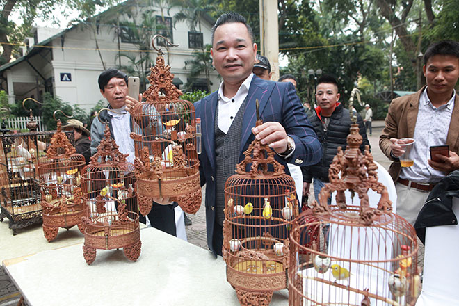 Chim “quý tộc” xuất hiện giữa Hà Nội, dân chơi sửng sốt - 2