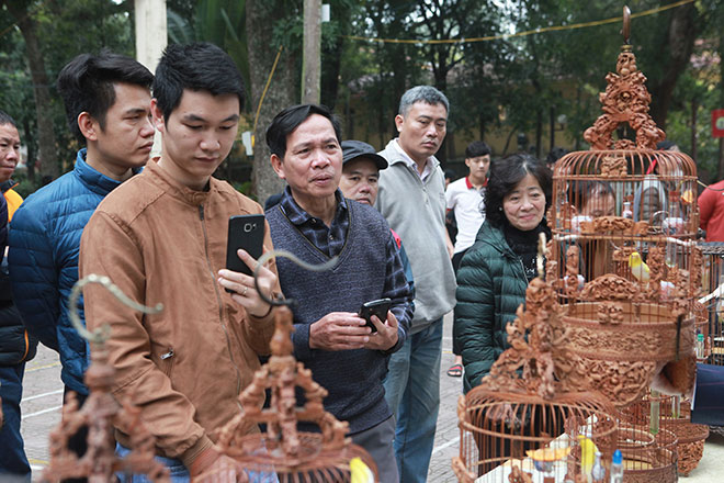 Chim “quý tộc” xuất hiện giữa Hà Nội, dân chơi sửng sốt - 12