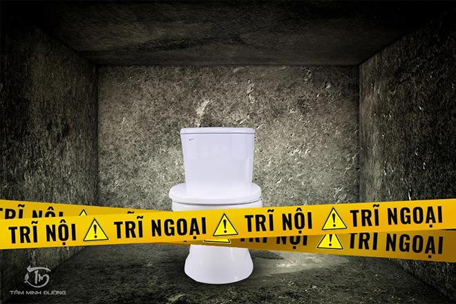 Cách điều trị bệnh trĩ nội, trĩ ngoại tại nhà bằng thuốc nam - 1