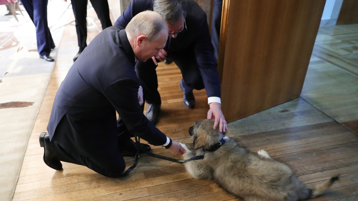 Món quà đặc biệt Tổng thống Serbia dành tặng ông Putin - 1