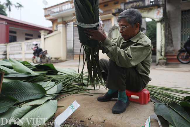 Theo tiết lộ của người dân, cây dong phát triển tốt là do Tràng Cát nằm trong vùng bãi bồi của sông Đáy, có mạch nước ngầm tinh khiết chảy qua, khí hậu rất thích hợp.
