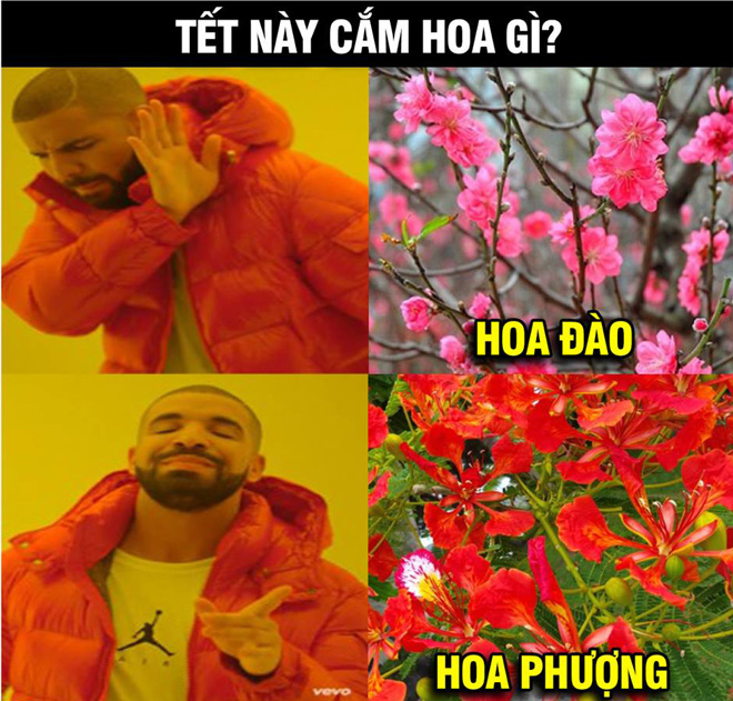 &#34;Phượng nở rực rỡ&#34;, đội tuyển Việt Nam tiến vào tứ kết - 3