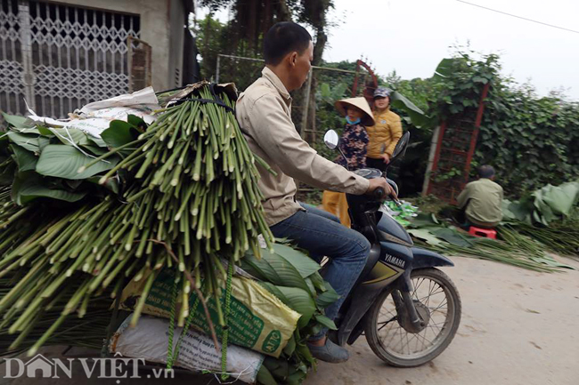 Vào thời điểm này, các lái buôn bắt đầu đến chở hàng về các chợ tại nhiều địa phương lân cận.
