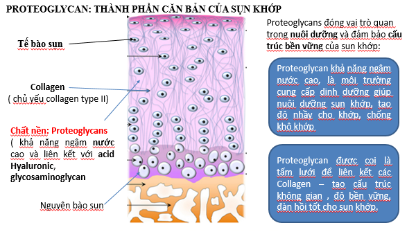 3 loại thảo dược mạnh gân cốt, giảm đau nhức xương khớp không thể bỏ qua - 4