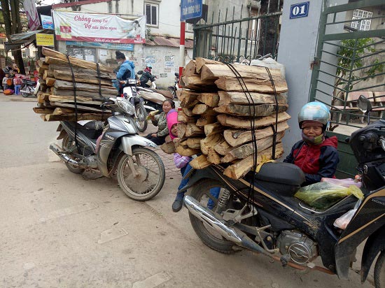 Đặc sản Tết vùng cao: Ngon nhất lợn cắp nách, gà thả rông, chim câu - 6