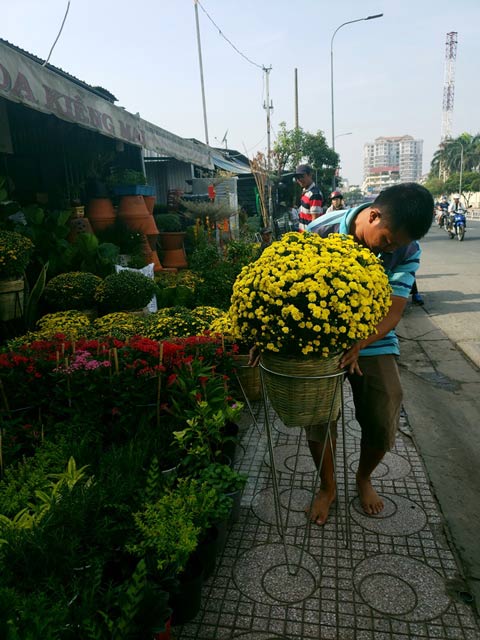 Hoa Tết: Hoa kiểng độc, lạ ồ ạt đổ về chợ lãng mạn nhất Sài Gòn - 1