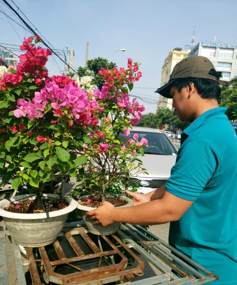 Hoa Tết: Hoa kiểng độc, lạ ồ ạt đổ về chợ lãng mạn nhất Sài Gòn - 15