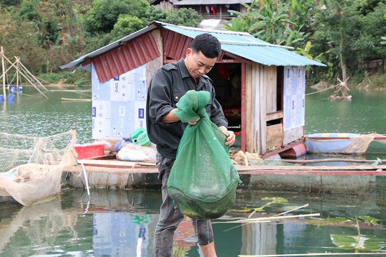 Xuống hồ thủy điện &#34;làm ruộng&#34;, thành triệu phú cá lồng - 2