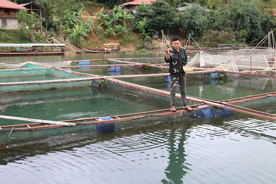 Xuống hồ thủy điện &#34;làm ruộng&#34;, thành triệu phú cá lồng - 5