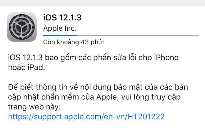 Apple tung bản cập nhật iOS 12.1.3 không sửa lỗi mất kết nối dữ liệu - 1