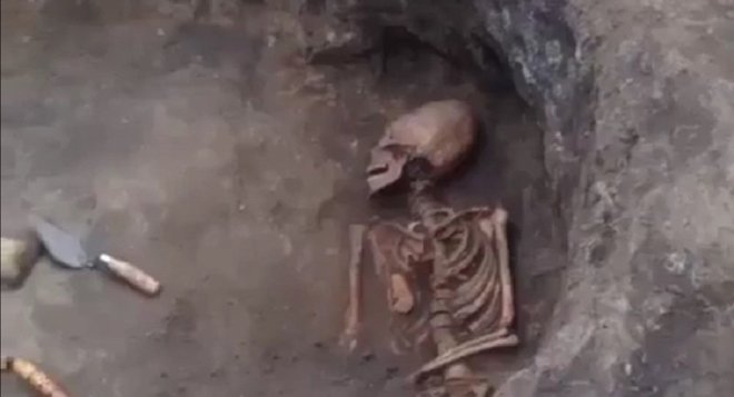 Phát hiện bộ xương như “người ngoài hành tinh” với hộp sọ hình quả trứng ở Nga - 1