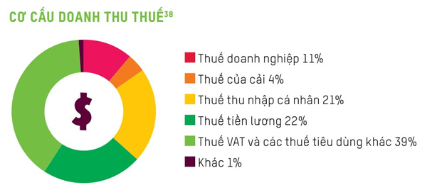 Đánh thuế người giàu thế nào để tạo sự công bằng xã hội? - 6