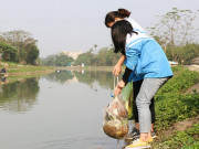 Tin tức trong ngày - Ngày ông Táo về trời, “ngả mũ” thán phục hành động này của các bạn trẻ