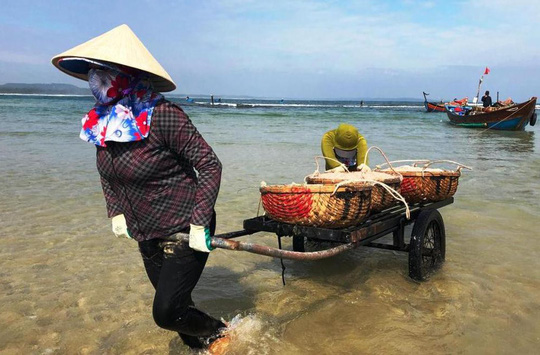 Cận Tết, ngư dân Quảng Ngãi trúng đậm mùa ruốc - 1