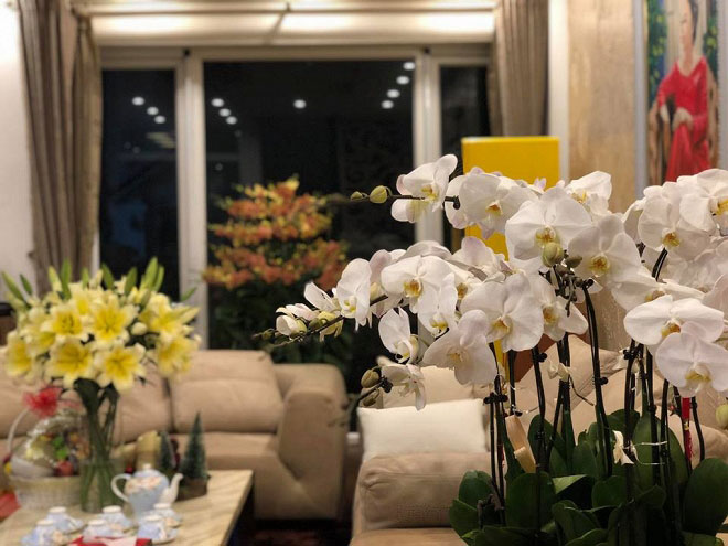 Nhà của MC Hoa Thanh Tùng ngập tràn sắc hoa vào dịp Tết nguyên đán - 1