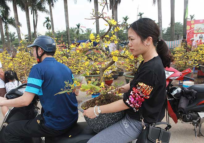 29 Tết, mai vàng nở bung bét, giảm giá &#34;kịch sàn&#34; vẫn vắng khách mua - 13