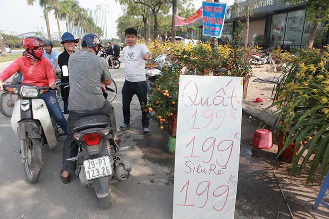 29 Tết, mai vàng nở bung bét, giảm giá &#34;kịch sàn&#34; vẫn vắng khách mua - 14