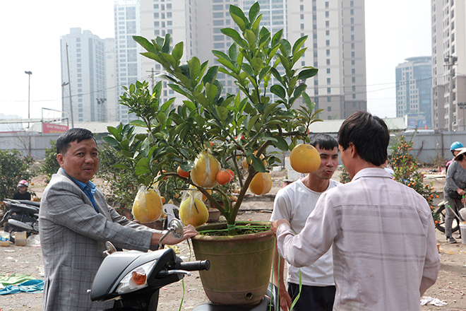 Người Hà Nội đua nhau mua cây cảnh giảm giá “sốc” ngày 30 Tết - 5