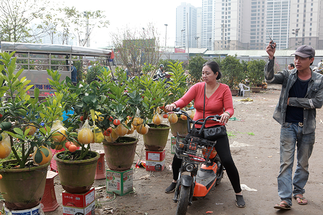 Người Hà Nội đua nhau mua cây cảnh giảm giá “sốc” ngày 30 Tết - 3