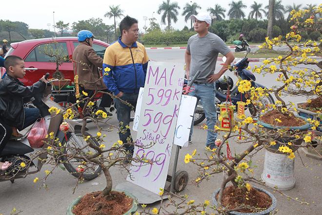 Người Hà Nội đua nhau mua cây cảnh giảm giá “sốc” ngày 30 Tết - 9