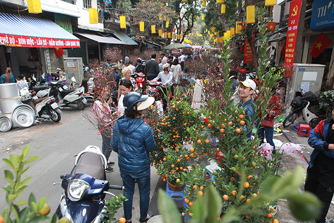 Chiều cuối năm tại chợ hoa lâu đời nhất Thủ đô - 1