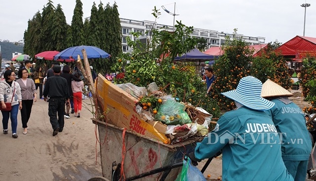 Quyết không bán rẻ, người đàn ông thẳng tay chặt quất cảnh tiền triệu - 6