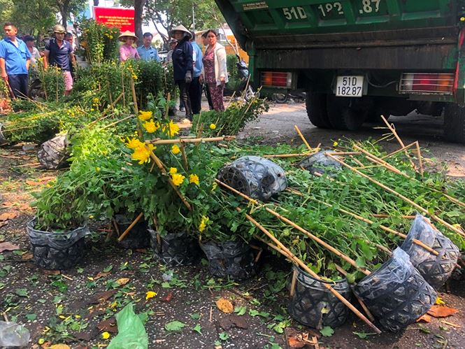 Tiểu thương vứt hàng trăm chậu hoa ế vào xe rác vì sợ &#39;hôi của&#39; - 3