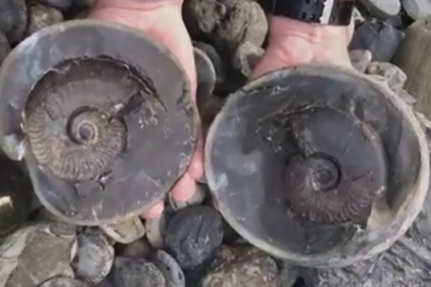 Video: Mở quả đạn đại bác bóng loáng, phát hiện bí mật 185 triệu năm - 1